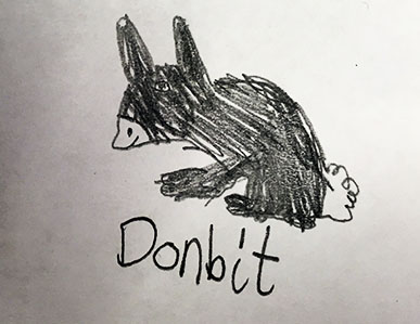 donbit
